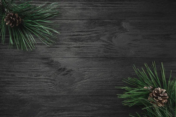 Noel kartı. Siyah ahşap arka plan, Çamın dalları, çam kozalakları, üstten görünüm