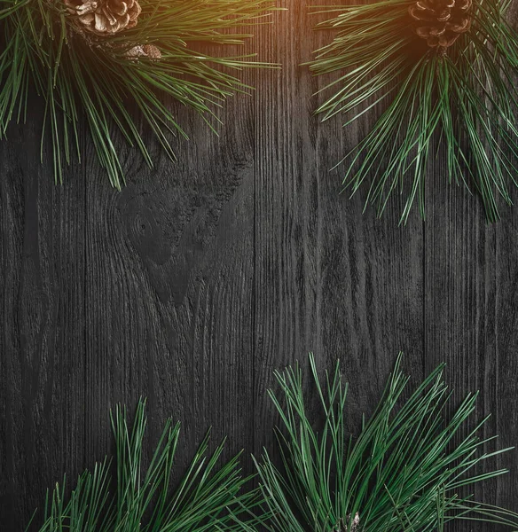 Christmas card. Black wood background with pine branches and pine cones through corners, top view. Xmas square card. Light effect.