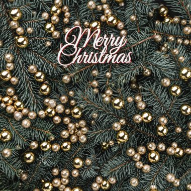 Kış arka plan köknar dalı. Altın baubles ve Merry Christmas yazıt ile süslenmiş. Noel kartı. Üstten görünüm. Xmas tebrikler. Kare kartı.