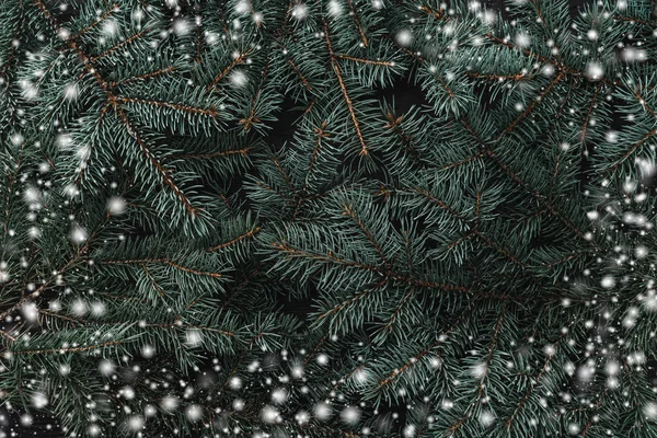 Winterhintergrund Aus Tannenzweigen Weihnachtskarte Ansicht Von Oben Weihnachtsglückwunsch Effekt Schneeflocken — Stockfoto