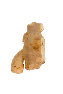 Taze zencefil, görüntü izole beyaz zemin üzerine, ot tıbbi kavramı. Taze sebze