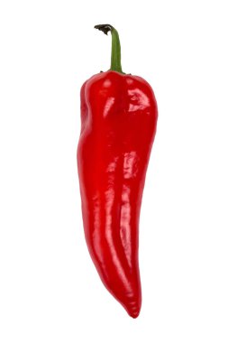 Biber beyaz izole zemin üzerinde. Sağlıklı gıda. Taze sebze. 