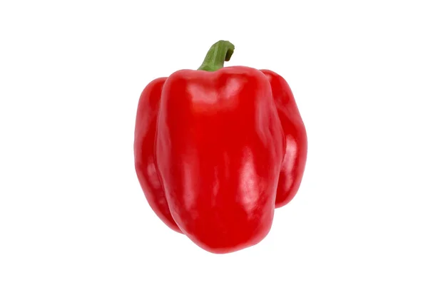 Czerwony Białym Tle Papryka Widok Boku Świeże Warzywa — Zdjęcie stockowe