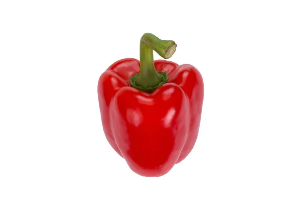 在白色背景上分离的红甜椒 以45度的角度查看 新鲜蔬菜 — 图库照片