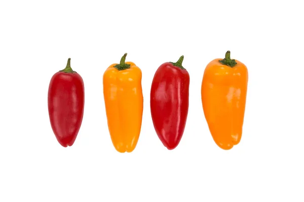 Ovely Mini Rode Gele Paprika Witte Isoleren Achtergrond Verse Groente — Stockfoto