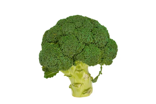 Brokkoli Isoliert Auf Weißem Hintergrund Frisches Gemüse — Stockfoto