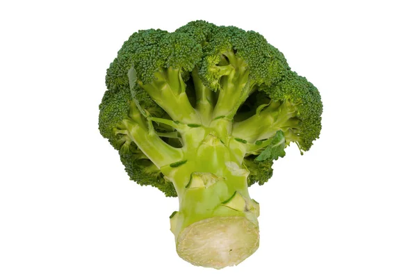 Broccoli Isolati Fondo Bianco Ortaggi Freschi — Foto Stock