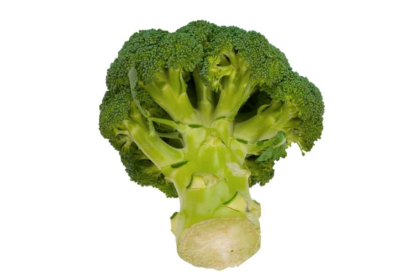 Broccoli Geïsoleerd Een Witte Achtergrond Verse Groente — Stockfoto