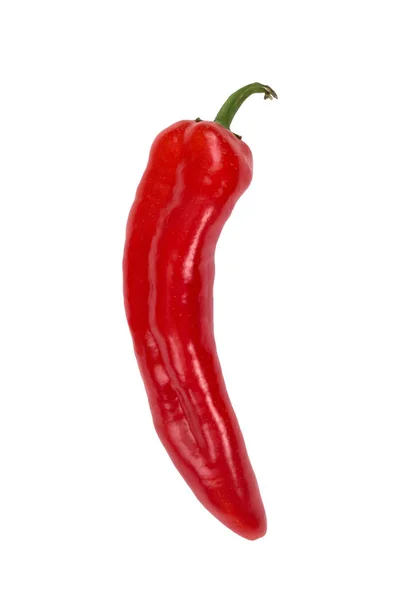 辣椒在白色被隔绝的背景 健康的食物 新鲜蔬菜 — 图库照片