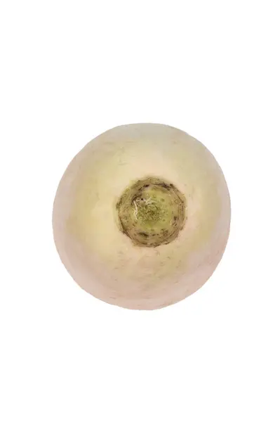 Biała Rzodkiew Biały Białym Tle Świeże Warzywa — Zdjęcie stockowe