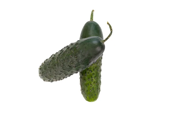 在白色背景查出的黄瓜 新鲜蔬菜 — 图库照片