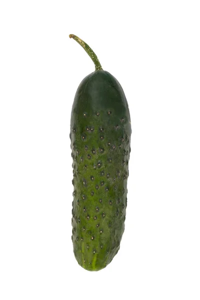 黄瓜查出在白色背景 新鲜蔬菜 — 图库照片