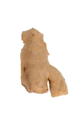 Taze zencefil, görüntü izole beyaz zemin üzerine, ot tıbbi co