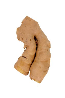 Taze zencefil, görüntü izole beyaz zemin üzerine, bitki sağlık kavramı