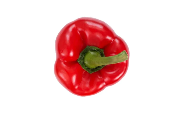 Piros Paprika Elszigetelt Fehér Background Felülnézet Friss Zöldség — Stock Fotó