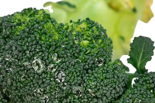 白の背景に水の滴が隔離された新鮮な緑のブロッコリー 有機食品のマクロ写真 選択的焦点 — ストック写真