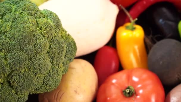 Detailní Pohled Zeleninu Jmenovitě Zelí Paprika Lilek Houby Rajčata Řepu — Stock video