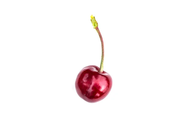 Juicy Ripe Cherry Isolated White Background — Stock Photo, Image