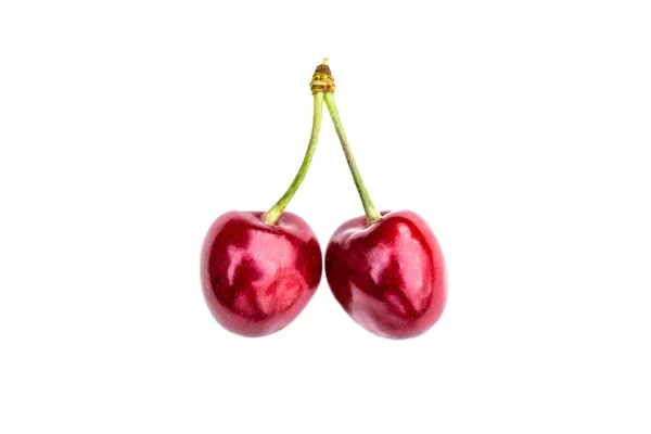 Dwa Dojrzałe Cherry Izolowane Białym Tle — Zdjęcie stockowe