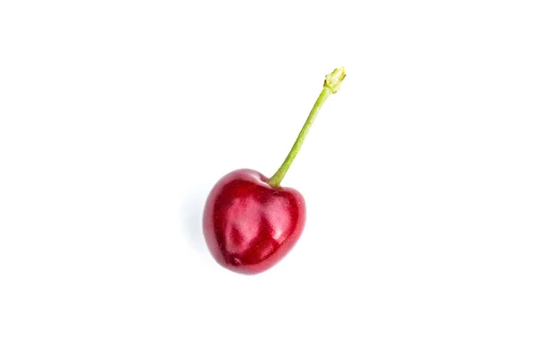 Juicy Ripe Cherry Isolated White Background — Stock Photo, Image
