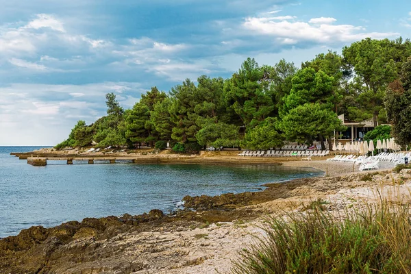 Zobacz Bay Morze Adriatyckie Sosny Istrii Chorwacja Piękny Pustej Plaży — Zdjęcie stockowe