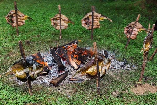 Bonfire Grilling Fish Garden Cooking Fish Sticks — Stock Photo, Image