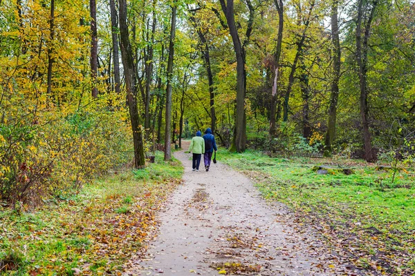 Schöne Herbstlandschaft Aktives Seniorenpaar Wandert Herbstwald — Stockfoto
