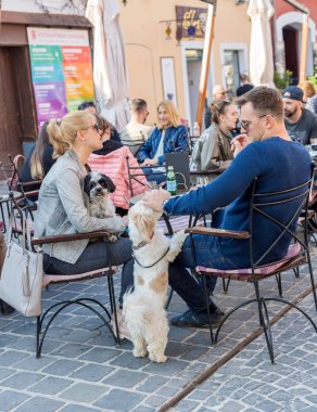 Szentendre, Macaristan - 08 Nisan 2018: Cadde kafe, dinlenme köpeklerle aile. Bir köpek kafa, kırmızı lekeler köpek ayakta arka ayakları siyah noktalar köpekle gri ile beyaz okşamaya adam kadın ellerinde yatıyor