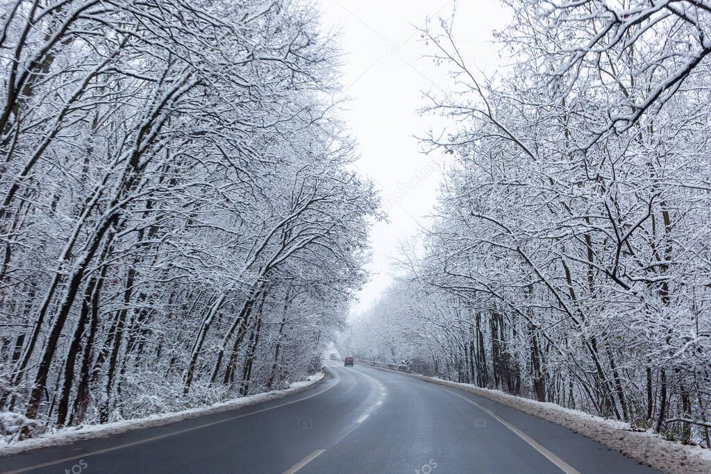 View of road in winter forest. Nyiregyhaza, Hungary