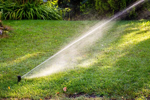 Automatic Irrigation System Watering Green Grass Summer Sunny Day Lawn — Stock Photo, Image