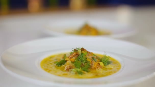 Chanterelles ve julienne orman mantar - restoranın öğle yemeği menüsü ile mantar çorbası — Stok video