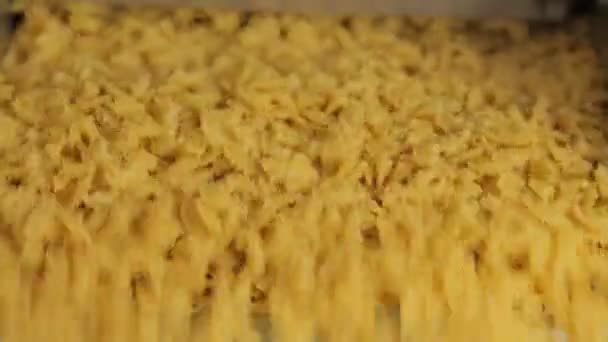 Organic pasta factory — Stock Video