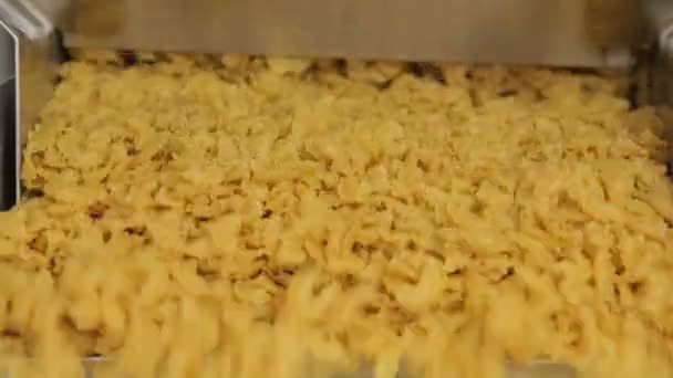 Sunny orange pasta plant line production — Stock Video