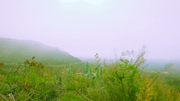 Zielona dżungla życia na skałach wulkanu, Ariel Panorama Widok — Wideo stockowe