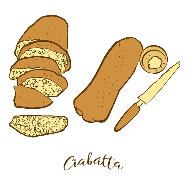 Sketsa warna roti Ciabatta - Stok Vektor