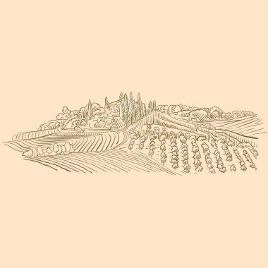 Bağ Manzara çizimi