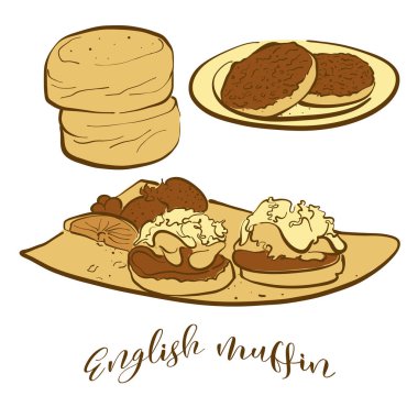 Colored sketches of English muffin bread vector Colored sketches of English muffin bread vector