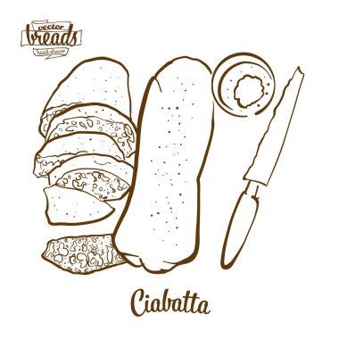 Ciabatta ekmek vektör çizim