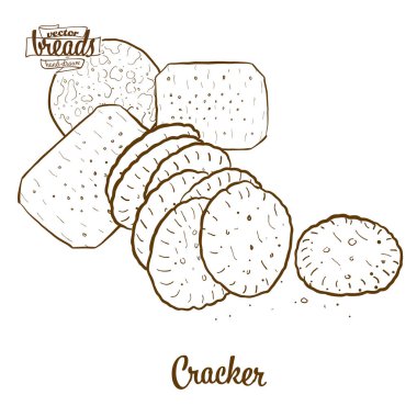 Kraker ekmek vektör çizim