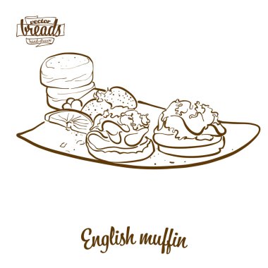 English muffin bread vector drawing vector English muffin bread vector drawing vector