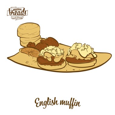Colored drawing of English muffin bread vector Colored drawing of English muffin bread vector
