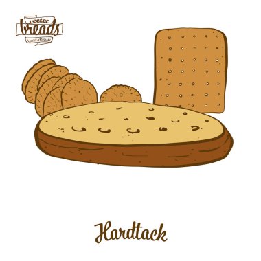 Hardtack ekmek renkli çizim