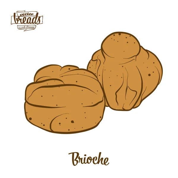 Цветной рисунок бриошского хлеба — стоковый вектор