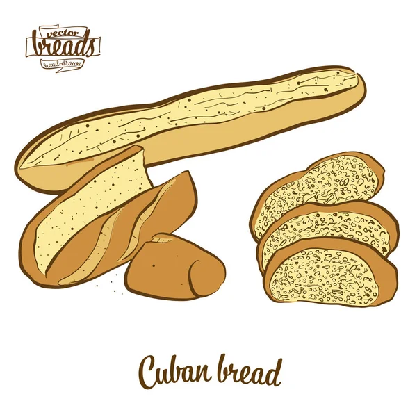 Χρωματιστό σχέδιο του κουβανέζικου ψωμιού — Διανυσματικό Αρχείο
