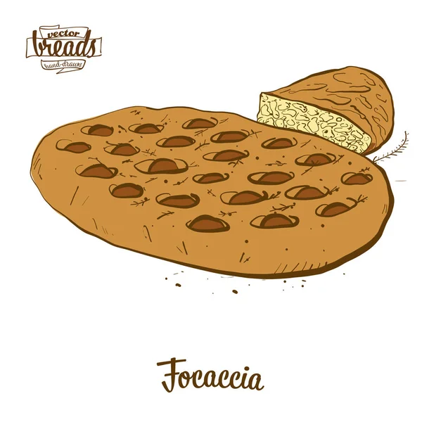 Цветной рисунок хлеба Фокачча — стоковый вектор