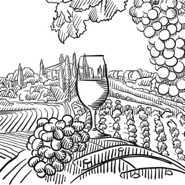 Üzüm bağı olay yeri gübresi. Siyah beyaz el çizimi. Yazdırma ve etiketleme için simge işareti.