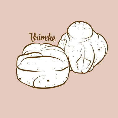 Elle çizilmiş Brioche ekmek çizimi. Maya ekmeği, Sweet, genellikle Fransa 'da bilinir. Vektör çizim serisi.