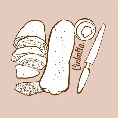 Elle çizilmiş Ciabatta ekmek çizimi. Beyaz, genellikle İtalya 'da bilinir. Vektör çizim serisi.