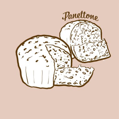 Elle çizilmiş Panettone ekmek çizimi. Tatlı ekmek, genellikle İtalya 'da bilinir. Vektör çizim serisi.