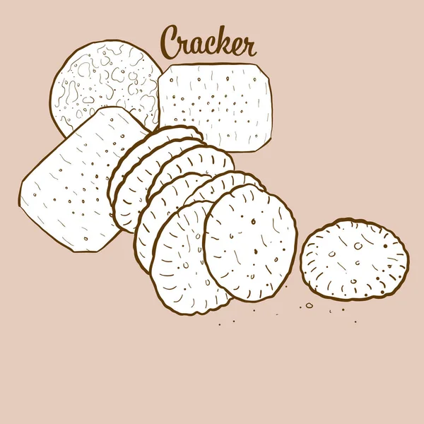 手绘饼干面包插图 脆面包 在国际上很有名 矢量绘图系列 — 图库矢量图片